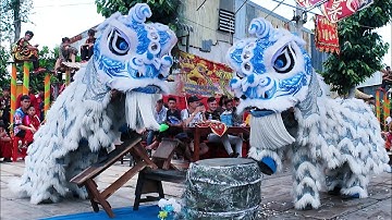 Múa Lân 2025 Đông Hải Thể Dục Hội Liên Hoan LSR Vệ Thủy Thần Miếu 2025