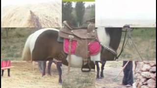 Ardahan Göle Tuncer Dağ Kemal Yıldız Türküleri @ Mehmet Ali̇ Arslan S