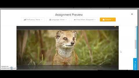 Logging into and Using StudySync