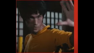 How Bruce Lee became the greatest icon of martial arts?
