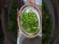 Lunch preparation is Japan