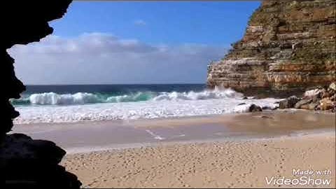 سورة الانشقاق    الشيخ محمد المحيسني