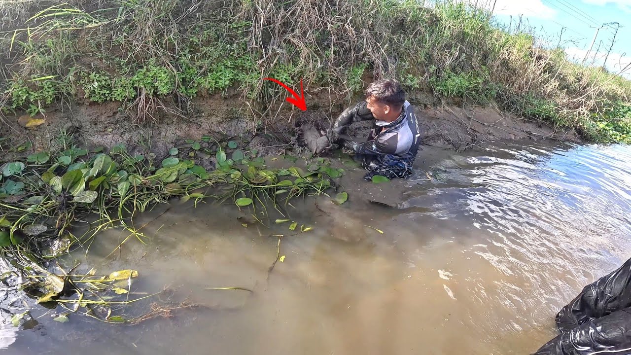 Peixe em todo lugar até onde menos espera inacreditável! 