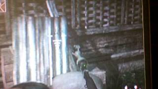 cod5 makin glitches