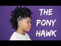 Pony Hawk On Thick Natural Hair | #trophdophwantsthatlook