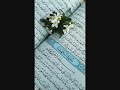 ما تيسر من سورة الكهف الشيخ مالك شيبة الحمد