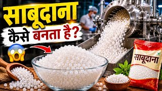 साबूदाना कैसे बनता है | Sabudana Making Process | How it's made Sago | By #punitsoniknowledge