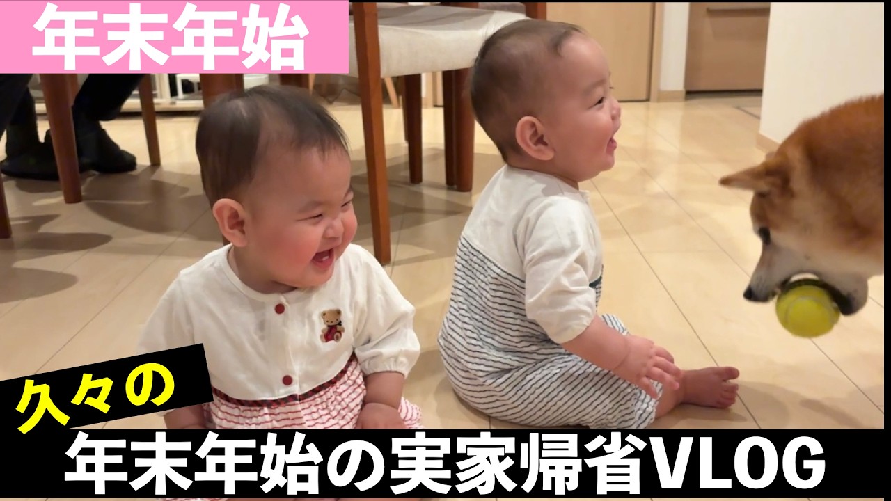 【双子VLOG】小児科医の僕が双子とともに年末年始をすごしたら