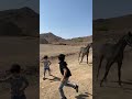 الخيل والليل والبيداء تعرفني mp3