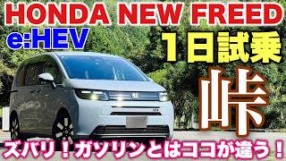 ホンダ 新型フリード AIR EX e:HEV 1日試乗 ワインディング編 ガソリン車と徹底比較！本当にe:HEV一択か⁉︎HONDA NEW FREED e:HEV Test Drive