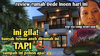 INI APA? || REVIEW RUMAH DEDE INOEN HARI INI || ADA POHON TERLARANG DIRUMAHNYA