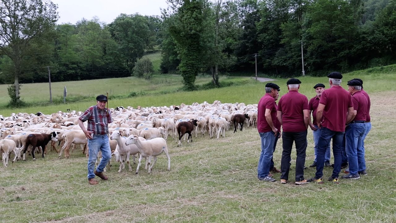 Le Chœur d'Hommes BARLOUNGUERE et la transhumance avec Pierrot