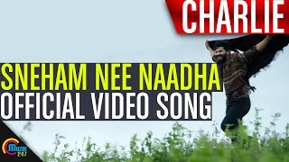 Charlie | Sneham Nee Naadha Song Video | Dulquer Salmaan, Aparna Gopinath, Parvathy | 