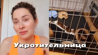 Я Из Донбасса(Торецк)Киев 26.03.24 Укротительница😳/Адаптация Животных🐱/В Торецке Громко💥