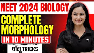 Complete Morphology का Ratta in 10 Minutes | धाँसू Tricks | NEET 2024 | Gargi Singh