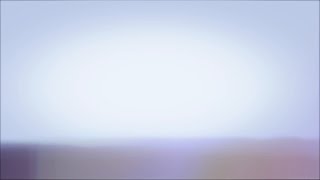 Light Leaks Element 265