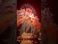 Happy Chinese new year！