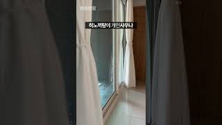 프라이빗한 계곡이 있는 애견펜션 #위드펫빌리지 #횡성애견펜션 #횡성애견동반 | 반려생활