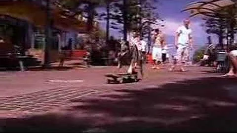 TV presenter showreel featuring skateboarding dog ...