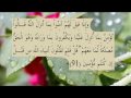القران الكريم سورة البقرة الاية 91 