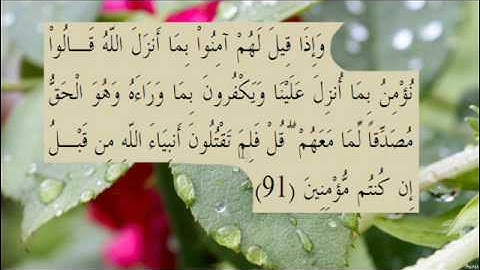 القران الكريم سورة البقرة الاية 91