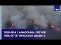 Пожары в Амазонии: легкие планеты перестают дышать