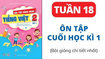 Tuần 18 - Ôn tập cuối học kì 1 | Bài tập hằng ngày | Tiếng Việt lớp 2 | Kết Nối | Cô Uyển Uyển