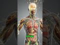 Garlic's Amazing Body Effects Revealed! 🤯💪 #shorts