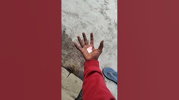 tutorial Leopard leap filter#leopard #leap #filter #moneylove #funny#trending#shorts