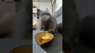 1120607 潤潤