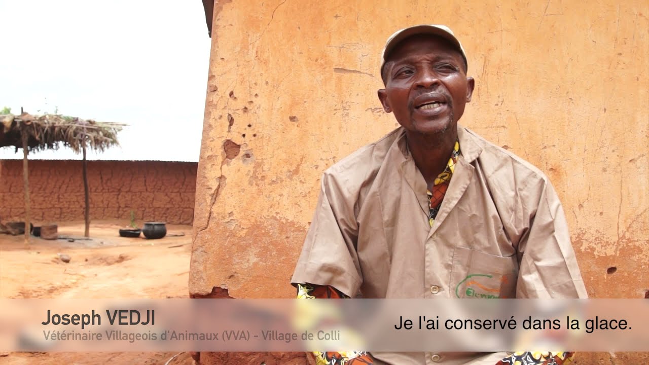 Améliorer son élevage de petits ruminants au Bénin