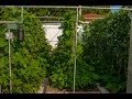 How to build a trellis structure for vegetable garden 