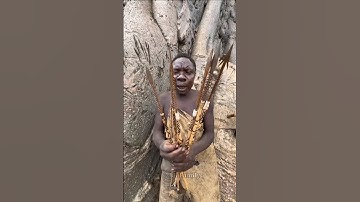 Tribal Archery Secrets: Why Making Arrows Is a Sacred Skill ? #shorts #viral #africantribe