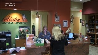 Steve Dale: Aloha Animal Hospital