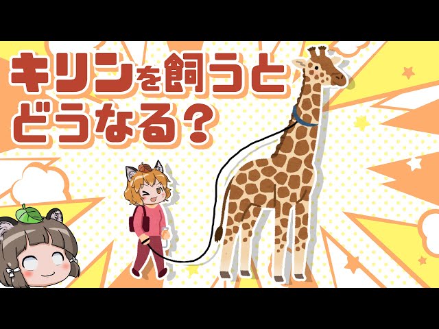 動物を描く hq720.jpg?sqp=-