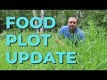 ATV Food Plot Update -Growing Great, But Some Sad News