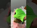 Estos guantes DIY sí funcionan (y sorprenden) 🧤🔥