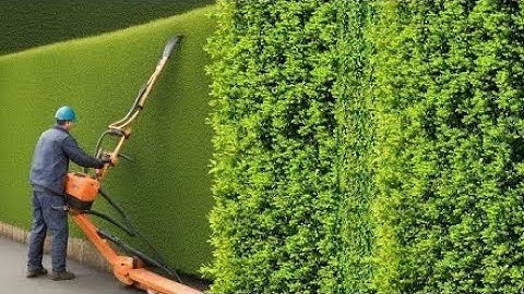 Extremely Satisfying Workers!