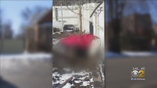 Dead Horse Hauled From Englewood Yard