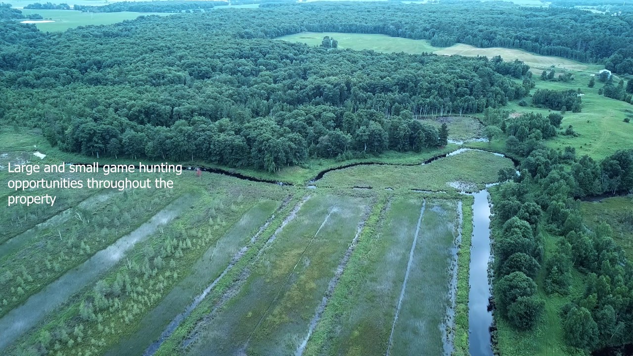 Tripp Lake 253 Acres for sale in North Central Wisconsin YouTube