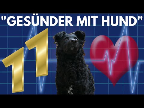Video: Wie das Streicheln von Hunden den Blutdruck senkt