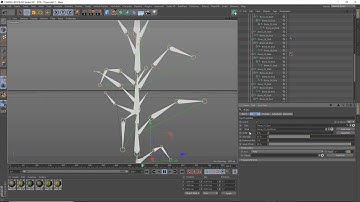 Tree Dynamics test with Speedtree and Cinema 4D - Part 2