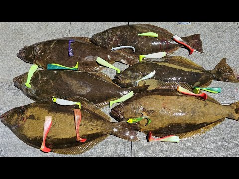 Incredible Halibut Swimbait Action (MUST TRY)