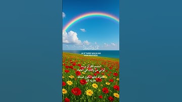 القرآن الكريم بصوت الشيخ ياسر الدوسري اكتب شي تؤجر عليه #اللهم_صل_وسلم_على_نبينا_محمد #المصحف