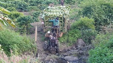 xe công nông câu đẩy chở chuối suống dóc cực kỳ khỏe phân 11