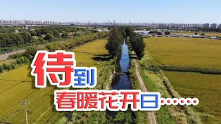 【亮哥養魚】「漸凍冰層下的原生精靈」後續，東北原生魚冬夏兩季水下實拍 by 亮哥养鱼频道 Liang Aquarium 2,799 views 1 year ago 10 minutes, 56 seconds