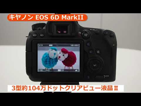 キヤノン EOS 6D MarkII EF24-105 IS STM レンズキット | デジタル一眼レフ