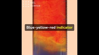 Blue-yellow-red indicator