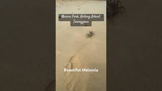 Marine Park, Redang Island Malaysia