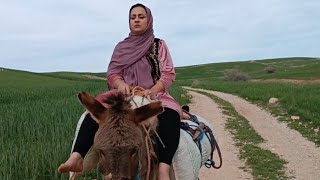 Жизнь кочевницы в Иране: Пастух и сбор травы. Иранская семья 🏕🌳🏕👩🏻‍🦰